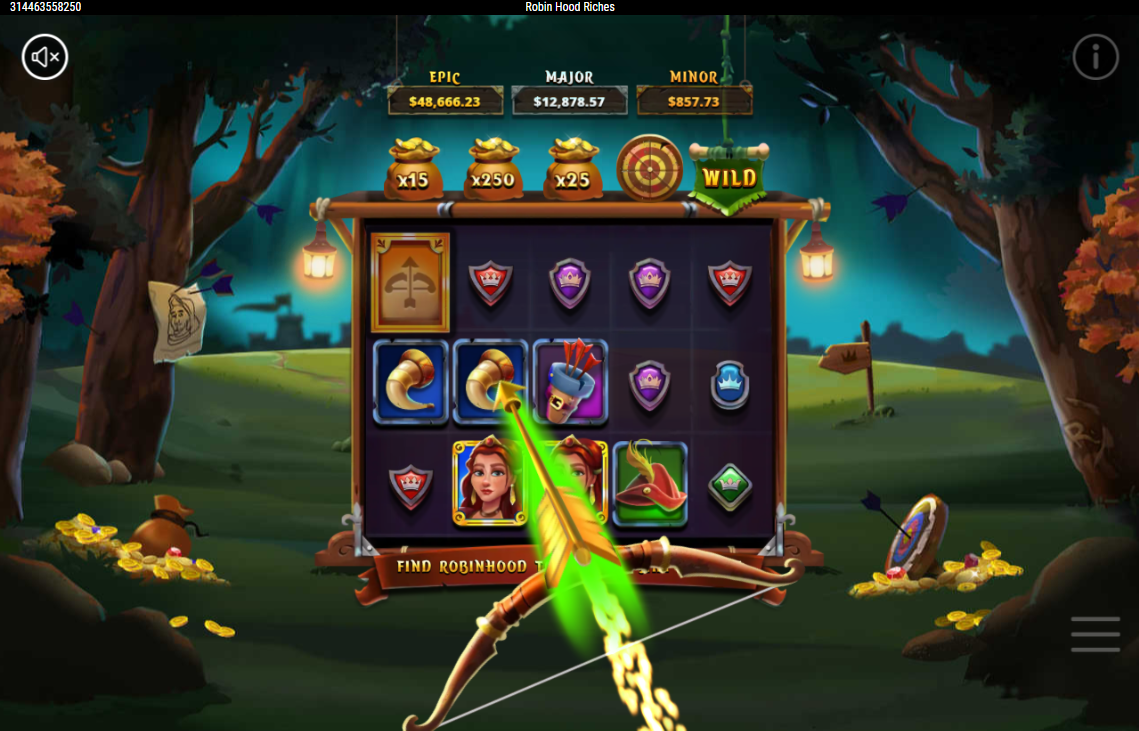 Robin Hood Riches carousel image 4