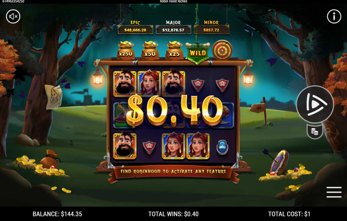 Robin Hood Riches carousel image 2