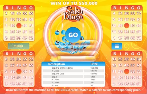 Salsa Bingo carousel image 1