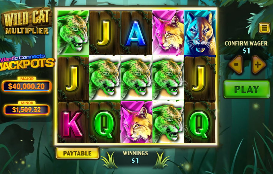 Wild Cat Multiplier Jackpots carousel image 2