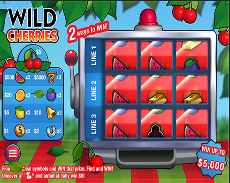 Wild Cherries carousel image 3