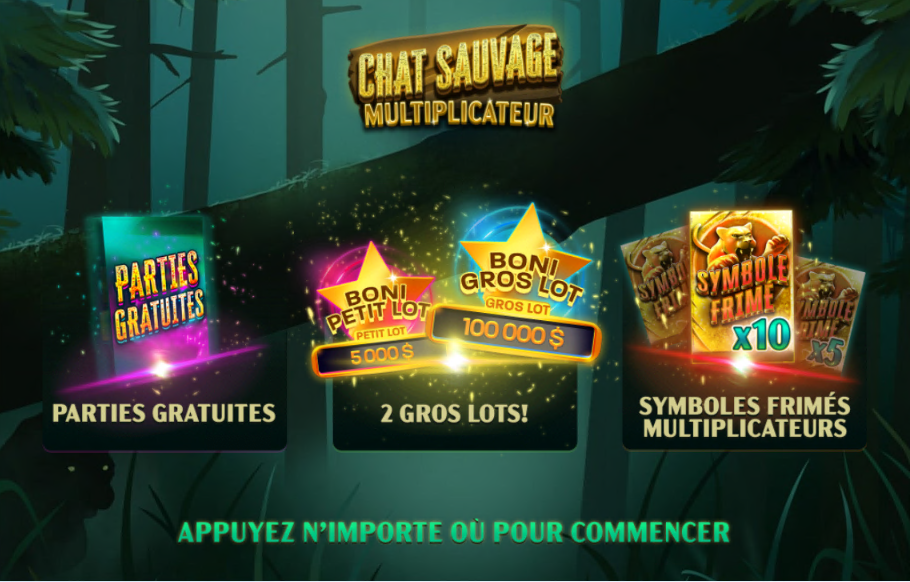 Multiplicateur chat sauvage carousel image 0