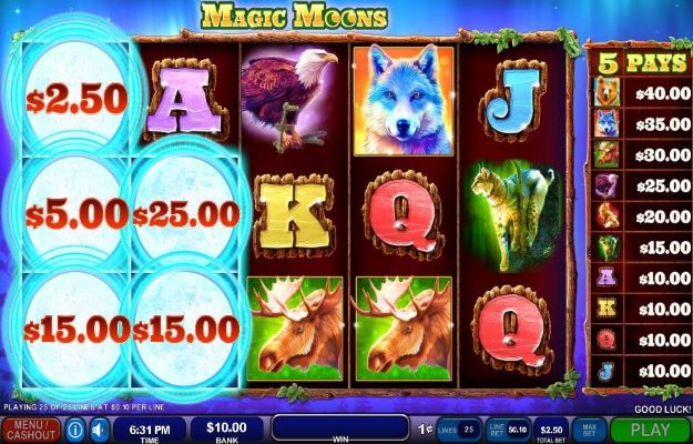 Magic Moons carousel image 1