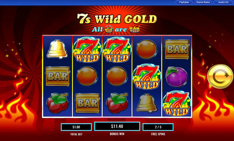 7s Wild Gold carousel image 3