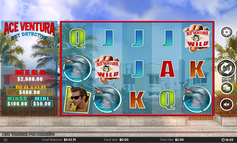 Ace Ventura carousel image 1