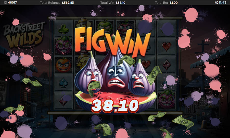 Backstreet Wilds carousel image 2