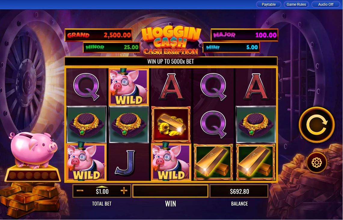 Cash Eruption Hoggin Cash carousel image 0