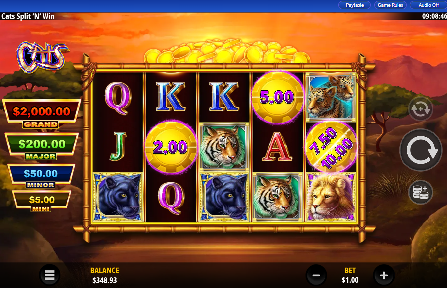 Cats Split N Win carousel image 0
