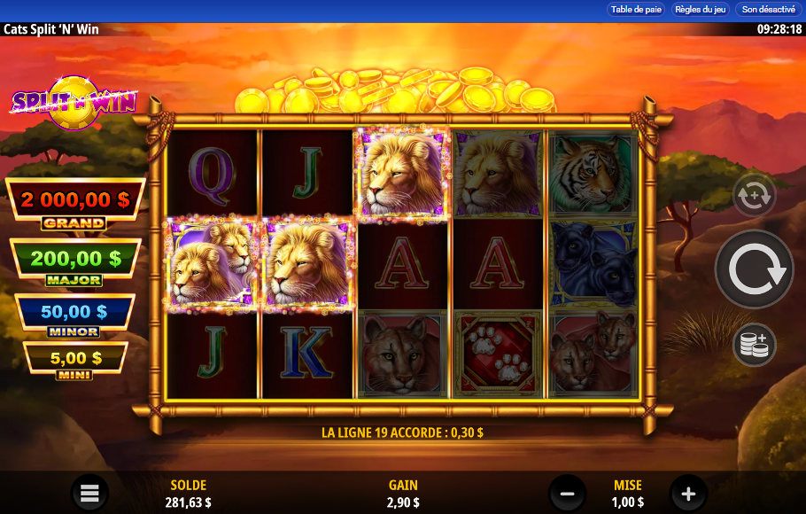 Cats Split N Win carousel image 1