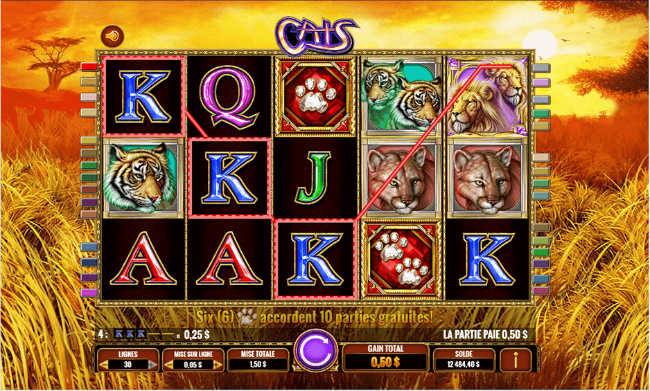 Cats carousel image 1