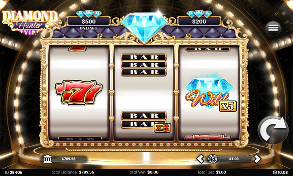 Diamond Hunter VIP carousel image 1