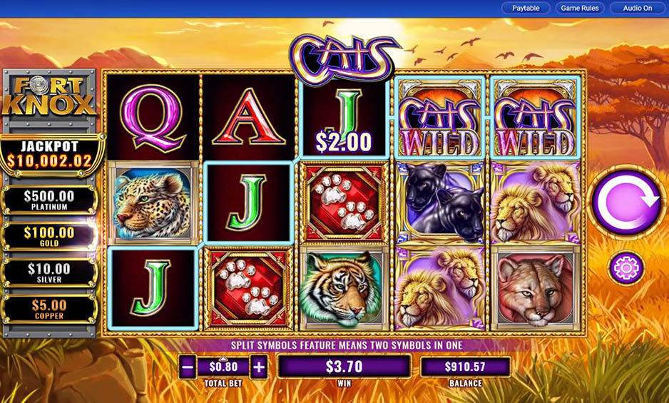 Fort Knox Cats carousel image 1