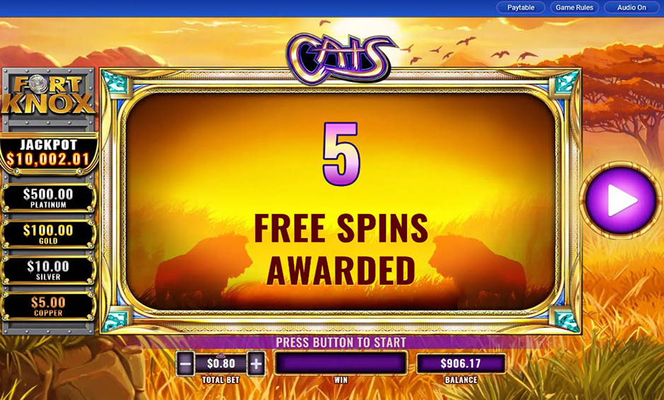 Fort Knox Cats carousel image 2