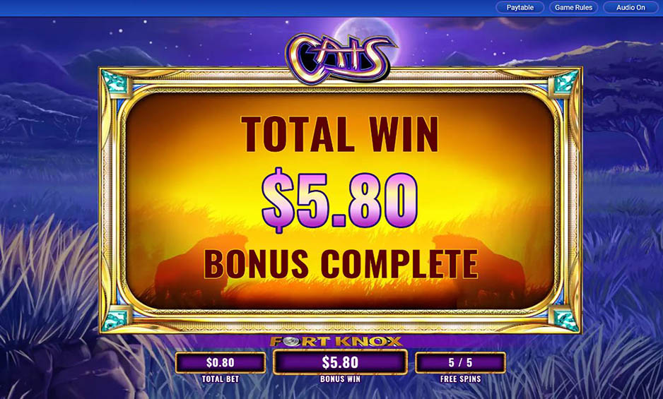 Fort Knox Cats carousel image 4