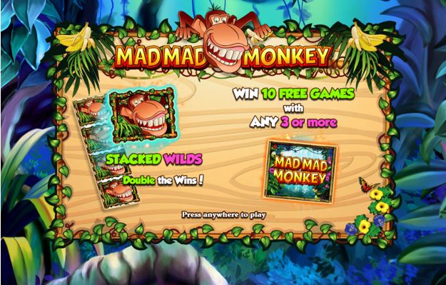 Mad Mad Monkey carousel image 0
