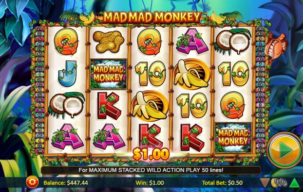 Mad Mad Monkey carousel image 2