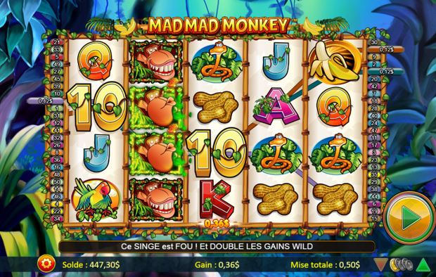 Mad Mad Monkey carousel image 2