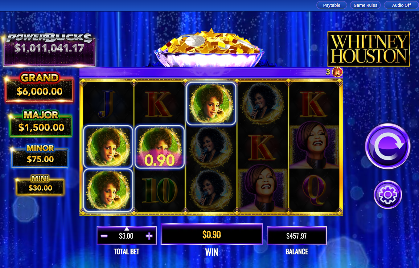 Powerbuck$ Whitney Houston carousel image 1