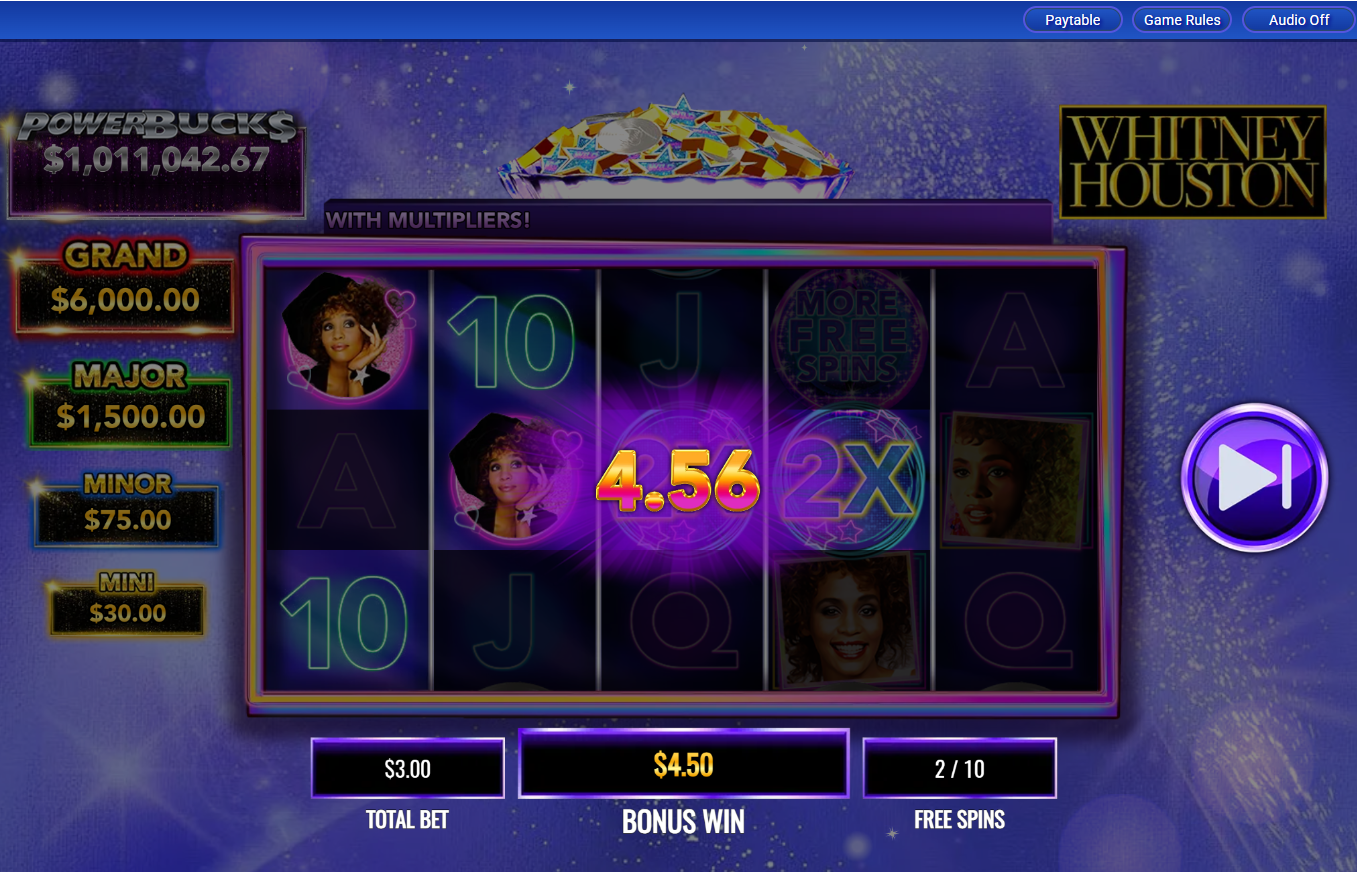 Powerbuck$ Whitney Houston carousel image 11