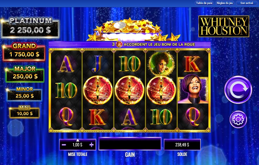 Whitney Houston carousel image 0