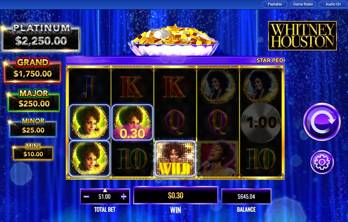 Whitney Houston carousel image 1